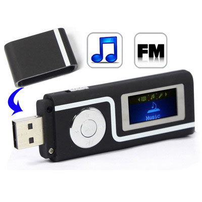 2GB MP3 Player with LCD Screen, Support FM Radio, Double 3.5 mm Earphone (Black)